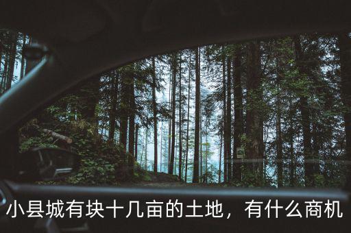 小縣城有塊十幾畝的土地，有什么商機