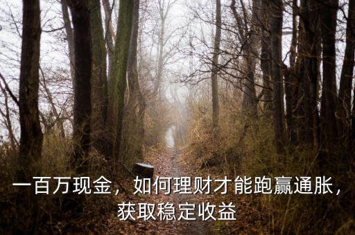 一百萬現(xiàn)金，如何理財才能跑贏通脹，獲取穩(wěn)定收益