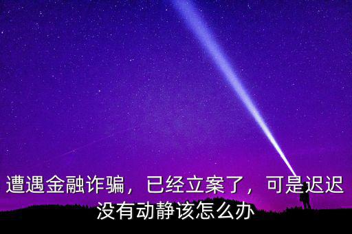 遭遇金融詐騙，已經(jīng)立案了，可是遲遲沒(méi)有動(dòng)靜該怎么辦