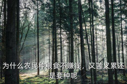 為什么農(nóng)民種糧食不賺錢，又苦又累還是要種呢