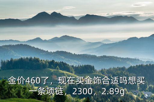 金價460了，現(xiàn)在買金飾合適嗎想買一條項鏈，2300，2.89g