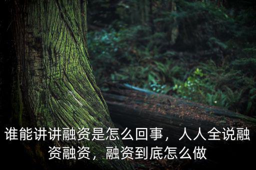 誰能講講融資是怎么回事，人人全說融資融資，融資到底怎么做