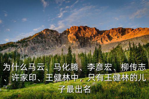 為什么馬云、馬化騰、李彥宏、柳傳志、許家印、王健林中，只有王健林的兒子最出名