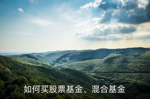 如何買(mǎi)股票基金、混合基金