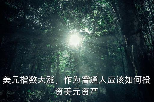 美元指數(shù)大漲，作為普通人應(yīng)該如何投資美元資產(chǎn)