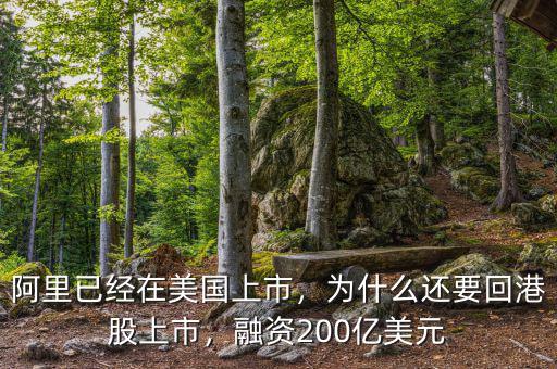 阿里已經(jīng)在美國上市，為什么還要回港股上市，融資200億美元