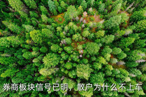 券商板塊信號已明，散戶為什么不上車