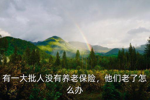 有一大批人沒(méi)有養(yǎng)老保險(xiǎn)，他們老了怎么辦