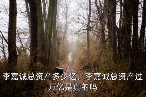 李嘉誠(chéng)總資產(chǎn)多少億，李嘉誠(chéng)總資產(chǎn)過(guò)萬(wàn)億是真的嗎