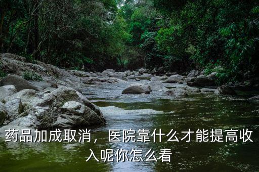 藥品加成取消，醫(yī)院靠什么才能提高收入呢你怎么看
