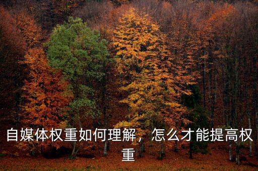 自媒體權重如何理解，怎么才能提高權重
