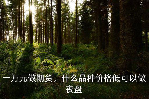 一萬(wàn)元做期貨，什么品種價(jià)格低可以做夜盤(pán)