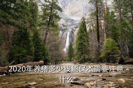2020年養(yǎng)豬多少錢(qián)能保本需要注意什么