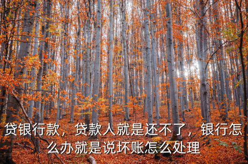 貸銀行款，貸款人就是還不了，銀行怎么辦就是說壞賬怎么處理