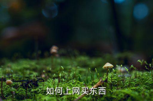 如何上網(wǎng)買(mǎi)東西