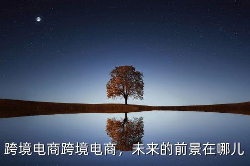 跨境電商跨境電商，未來的前景在哪兒
