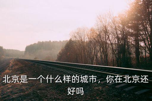 北京是一個什么樣的城市，你在北京還好嗎