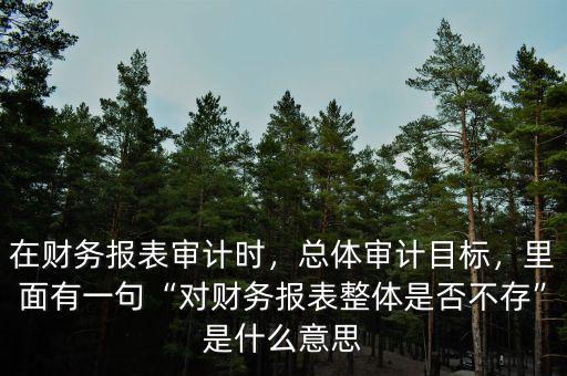什么是未審計(jì)財(cái)務(wù)報表,在財(cái)務(wù)報表審計(jì)時