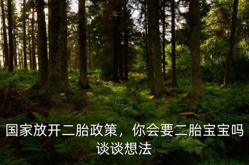 國家放開二胎政策，你會要二胎寶寶嗎談談想法