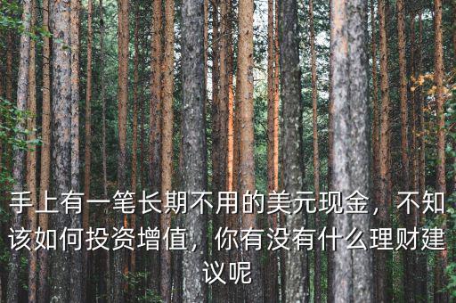 手上有一筆長期不用的美元現(xiàn)金，不知該如何投資增值，你有沒有什么理財建議呢