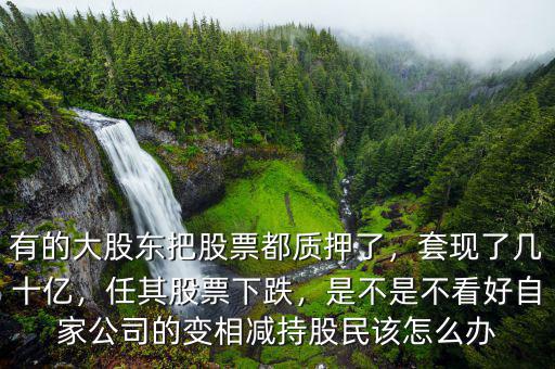 有的大股東把股票都質(zhì)押了，套現(xiàn)了幾十億，任其股票下跌，是不是不看好自家公司的變相減持股民該怎么辦