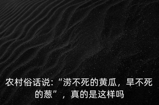農(nóng)村俗話說:“澇不死的黃瓜，旱不死的蔥”，真的是這樣嗎
