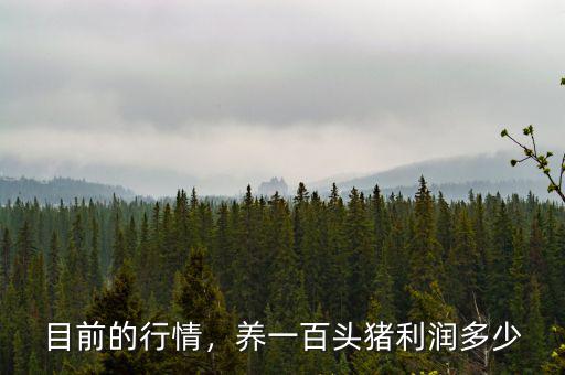 目前的行情，養(yǎng)一百頭豬利潤多少