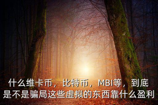什么維卡幣，比特幣，MBI等，到底是不是騙局這些虛擬的東西靠什么盈利