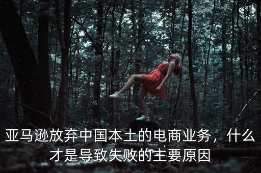 亞馬遜放棄中國本土的電商業(yè)務(wù)，什么才是導(dǎo)致失敗的主要原因