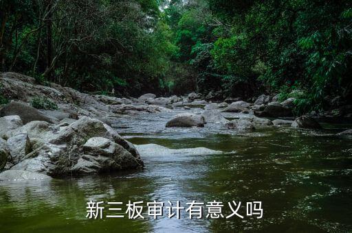 新三板審計(jì)能學(xué)到什么,企業(yè)不做審計(jì)會有什么后果