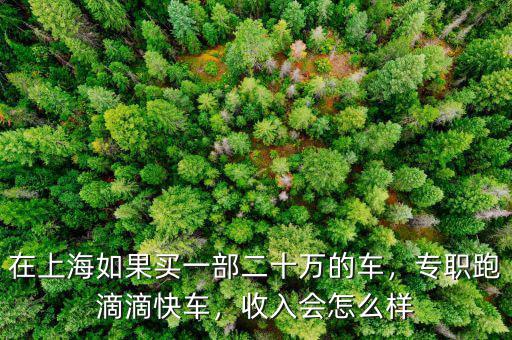 在上海如果買(mǎi)一部二十萬(wàn)的車(chē)，專(zhuān)職跑滴滴快車(chē)，收入會(huì)怎么樣
