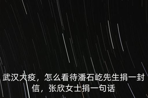武漢大疫，怎么看待潘石屹先生捐一封信，張欣女士捐一句話