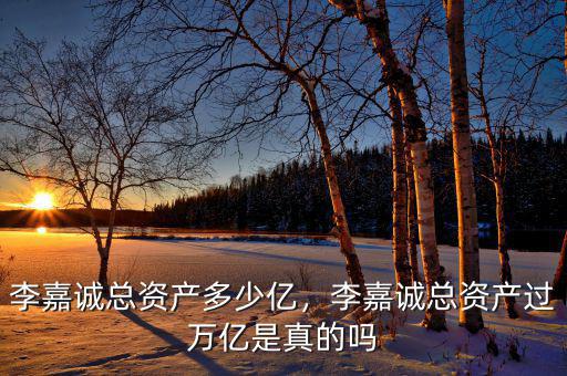 李嘉誠總資產(chǎn)多少億，李嘉誠總資產(chǎn)過萬億是真的嗎
