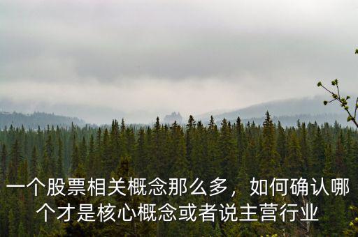 一個(gè)股票相關(guān)概念那么多，如何確認(rèn)哪個(gè)才是核心概念或者說主營行業(yè)