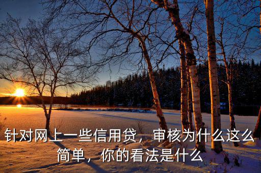 針對網(wǎng)上一些信用貸，審核為什么這么簡單，你的看法是什么
