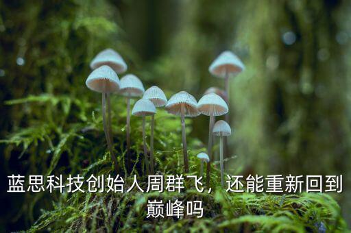 藍思科技創(chuàng)始人周群飛，還能重新回到巔峰嗎