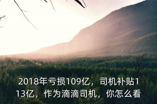 2018年虧損109億，司機補貼113億，作為滴滴司機，你怎么看