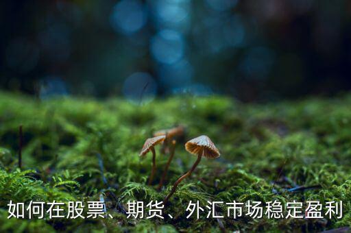如何在股票、期貨、外匯市場穩(wěn)定盈利