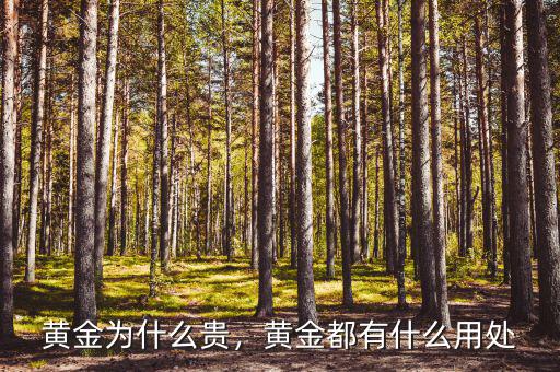黃金為什么貴，黃金都有什么用處