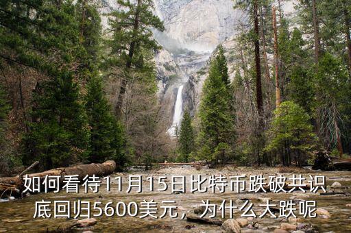 如何看待11月15日比特幣跌破共識(shí)底回歸5600美元，為什么大跌呢