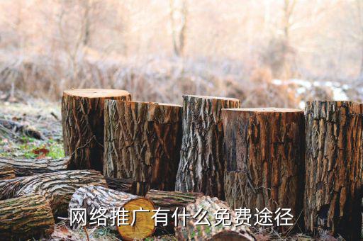 網(wǎng)絡推廣有什么免費途徑