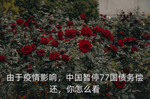 由于疫情影響，中國暫停77國債務(wù)償還，你怎么看