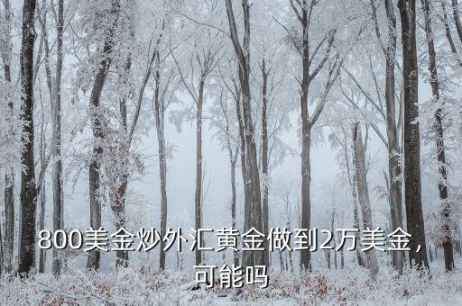 800美金炒外匯黃金做到2萬美金，可能嗎