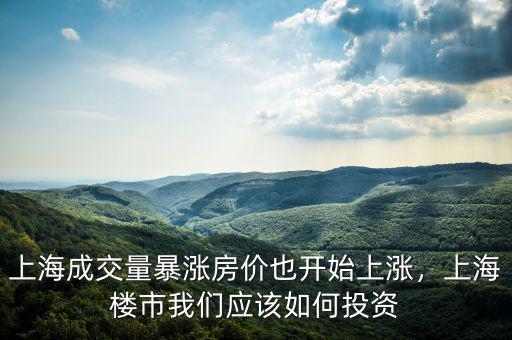 上海成交量暴漲房價也開始上漲，上海樓市我們應(yīng)該如何投資