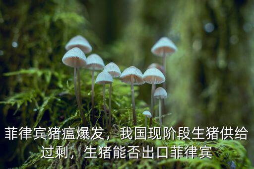 菲律賓豬瘟爆發(fā)，我國現(xiàn)階段生豬供給過剩，生豬能否出口菲律賓