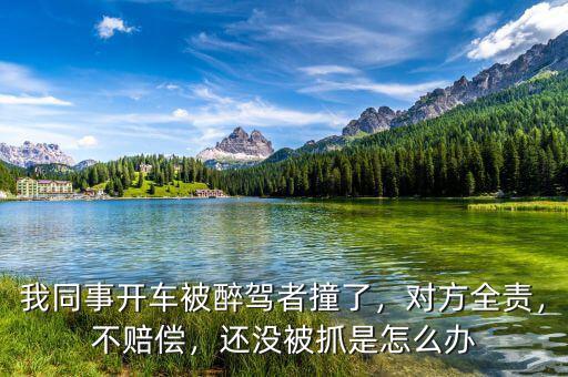 我同事開(kāi)車(chē)被醉駕者撞了，對(duì)方全責(zé)，不賠償，還沒(méi)被抓是怎么辦