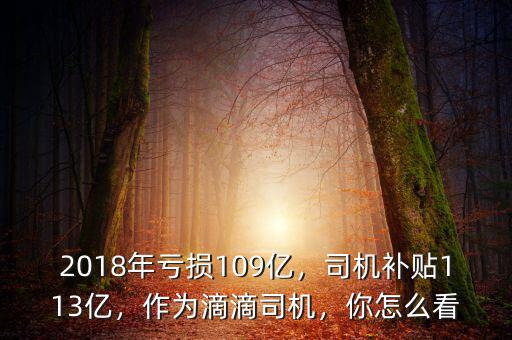 2018年虧損109億，司機(jī)補(bǔ)貼113億，作為滴滴司機(jī)，你怎么看