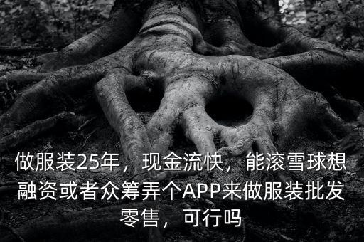 做服裝25年，現(xiàn)金流快，能滾雪球想融資或者眾籌弄個(gè)APP來(lái)做服裝批發(fā)零售，可行嗎