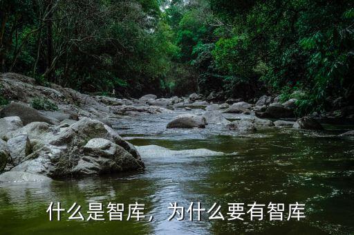 什么是智庫(kù)，為什么要有智庫(kù)