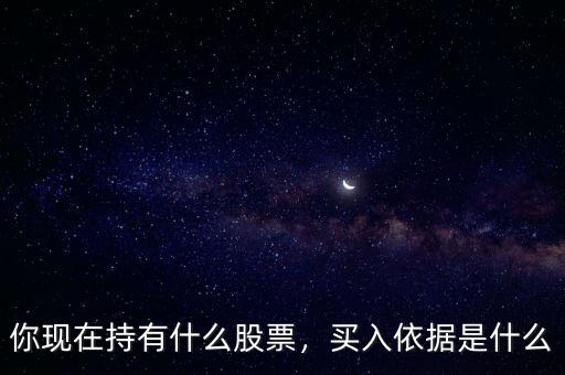 你現(xiàn)在持有什么股票，買入依據(jù)是什么